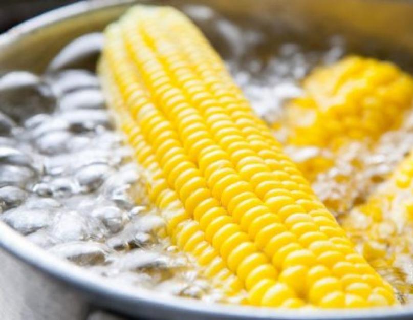 Как варить кукурузу правильно: что мы не знали о царице полей. Учимся готовить кукурузу в кастрюле: фото и пошаговые рецепты, как сварить ее в початках с солью
