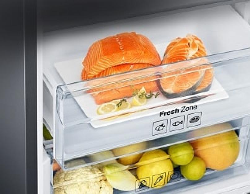 Температура в холодильнике должна быть bosch. Сохраняем витамины зимой и летом, или какая температура должна быть в холодильнике