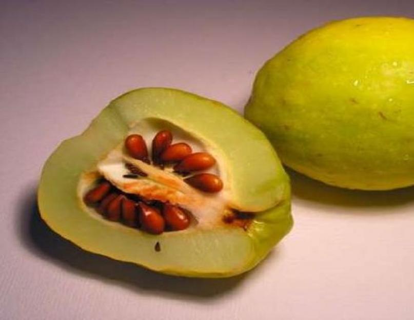 Биология пасечник распространение плодов и семян. Распространение плодов и семян
