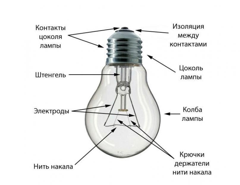 Борис федорович сергеев занимательная физиология. Все что вы не знали о первой лампе накаливания