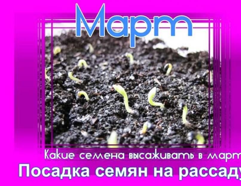 Лунный посадочный календарь на март года. Посадка семян на рассаду в марте по лунному календарю