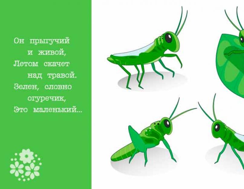 Пословицы про насекомых на английском. Скороговорки и чистоговорки для детей и взрослых