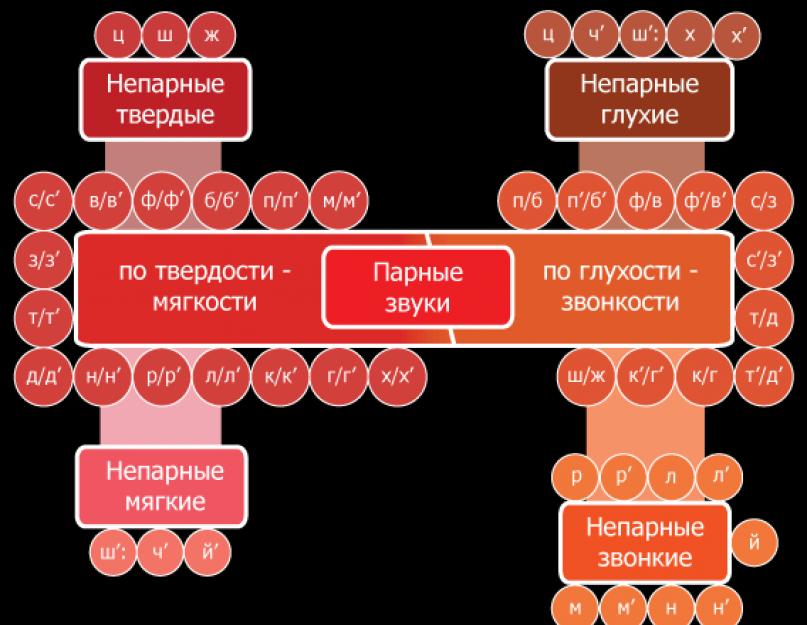Мягкие и звонкие согласные таблица русский. Твёрдые и мягкие согласные звуки