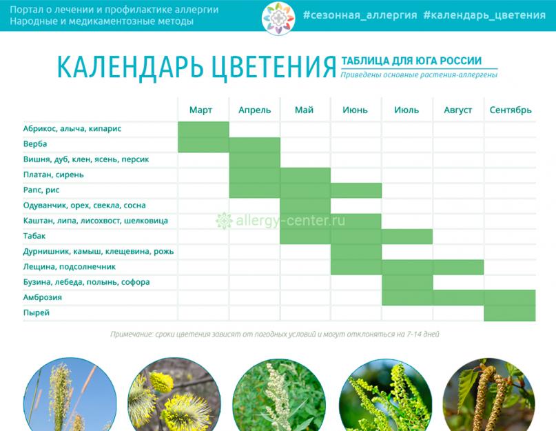Аллергические растения – календарь рисков для аллергика. Растения ветроопыляемые