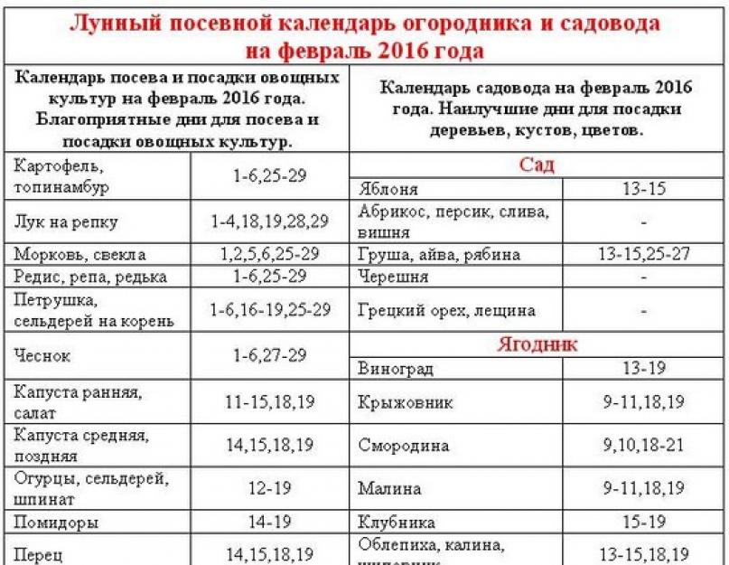 Благоприятные посадочные дни в мае года. Работы в мае на огороде, в саду и цветнике