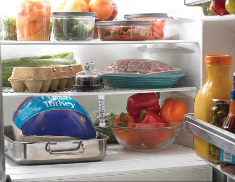 Правильно вымыть холодильник. Чем мыть холодильник внутри? Моющее средство для холодильника