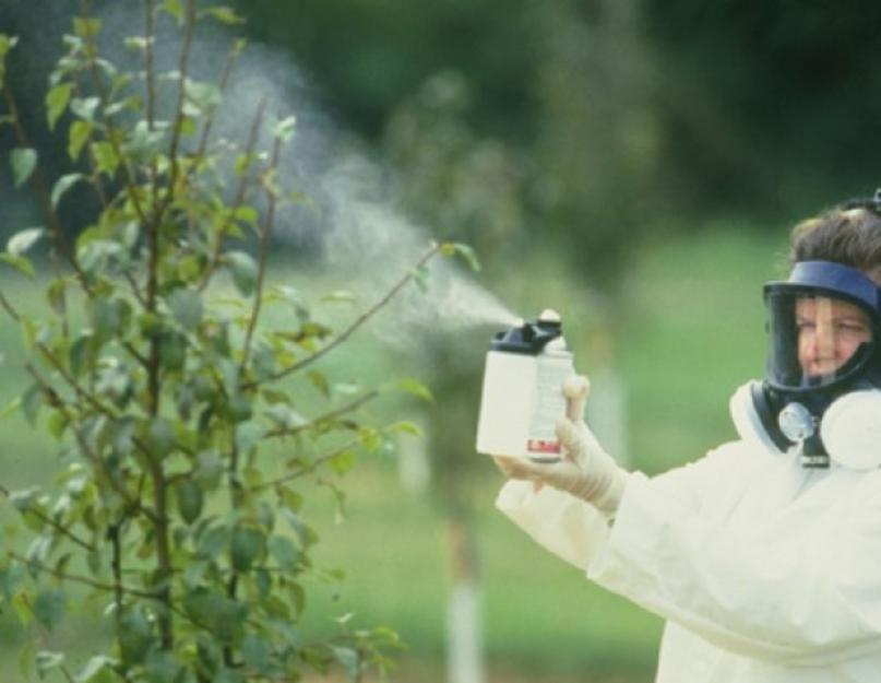 Пестициды последствия. Отрицательные последствия применения пестицидов и борьба с ними