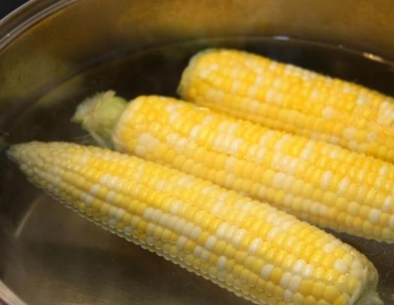Учимся готовить кукурузу в кастрюле: фото и пошаговые рецепты, как сварить ее в початках с солью. Как правильно варить кукурузу в початках в кастрюле