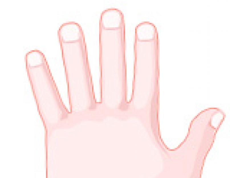 Если у мужчины маленькая ладонь. О чем расскажут длинные пальцы на руках? Риск рака простаты