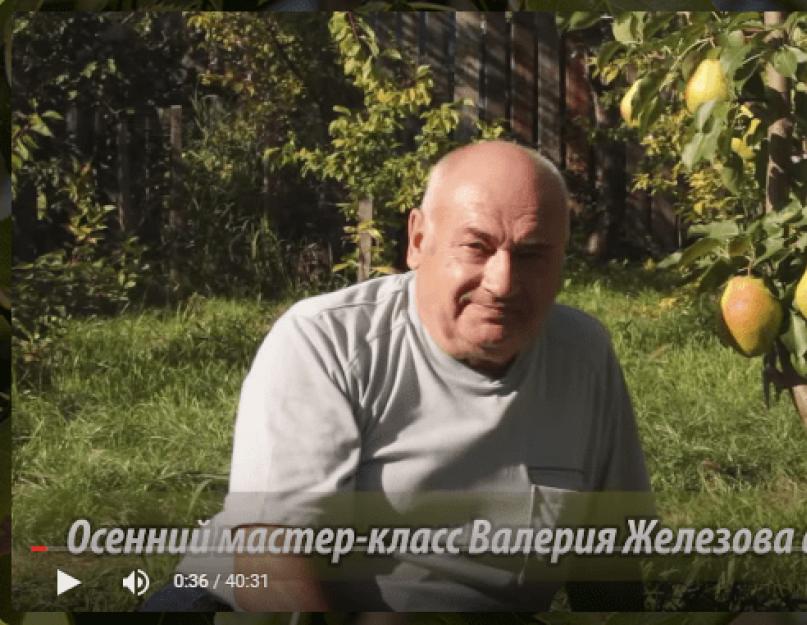 Валерий железов сибирский сад описание деревьев. Теория и практика 