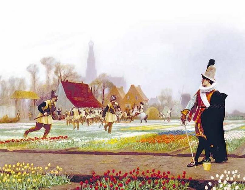 Голландия тюльпаны история. Тюльпаномания