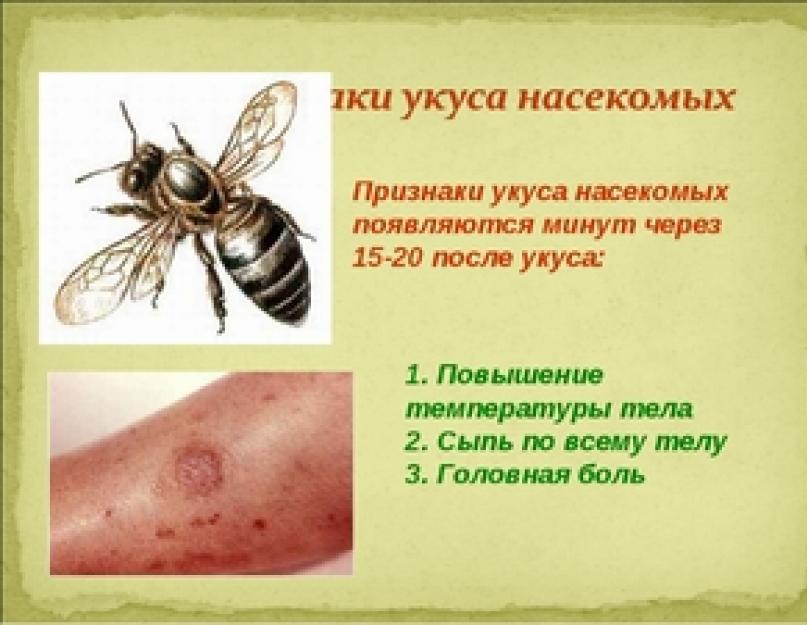 Укусы насекомых симптомы. Укусы разных видов насекомых и их фотографии