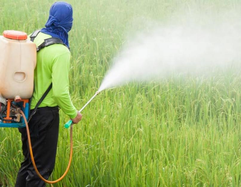 Пестициды предназначенные для борьбы с сорными растениями. Ядохимикаты (пестициды)