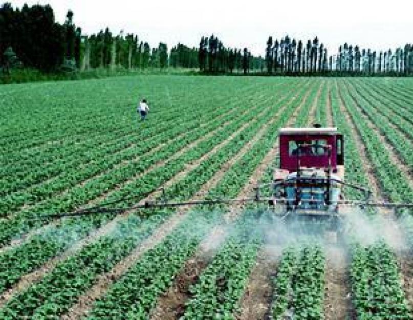 Научное определение что такое пестициды. Пестицид: что это? Применение и хранение пестицидов
