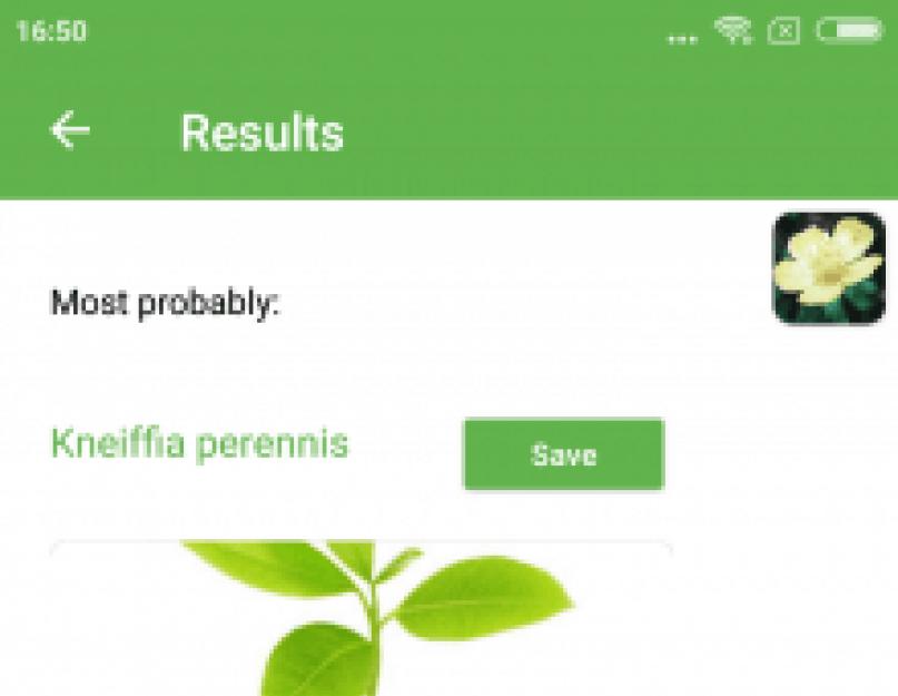 Распознавание по фото растений онлайн на русском языке бесплатно