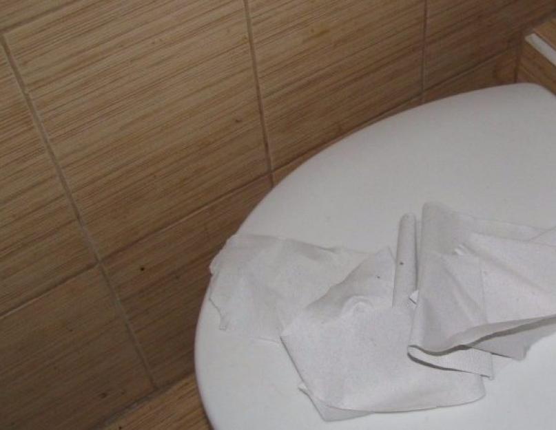 Чем промыть туалет. Как пробить унитаз в домашних условиях самостоятельно? Способы устранения засора в унитазе