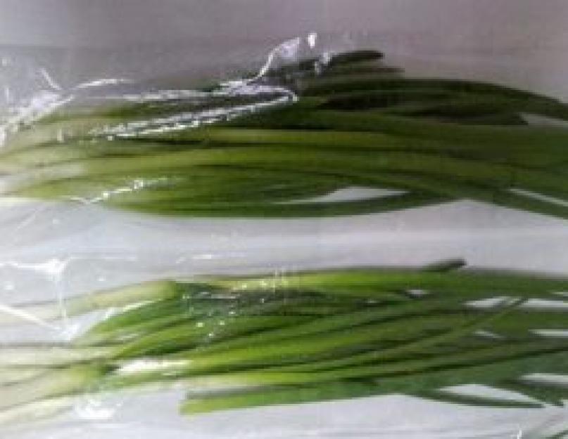 Храним зеленый лук в холодильнике долго — Нюансы и способы. Как правильно хранить зеленый лук в домашних условиях