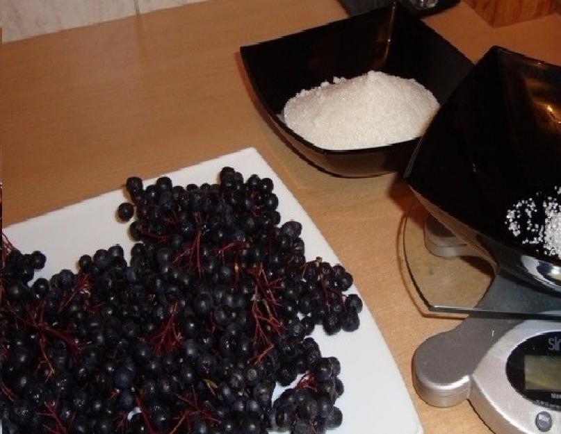 Черноплодная рябина полезные свойства ягоды, применение, рецепты и противопоказания! Черноплодная рябина: простые рецепты из нее. 