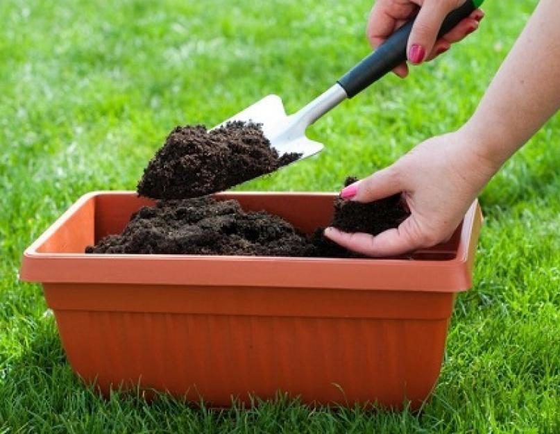 Как сделать правильный компост? Что такое компост? Органические удобрения, садоводство и огородничество Как сделать качественный компост. 