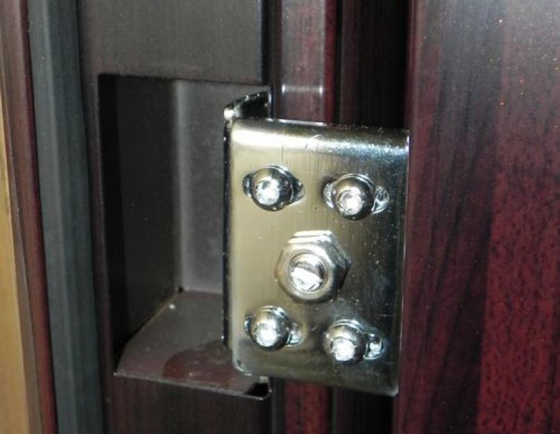 Дверные навесы для металлических дверей. Скрытые дверные петли — преимущества и способы установки