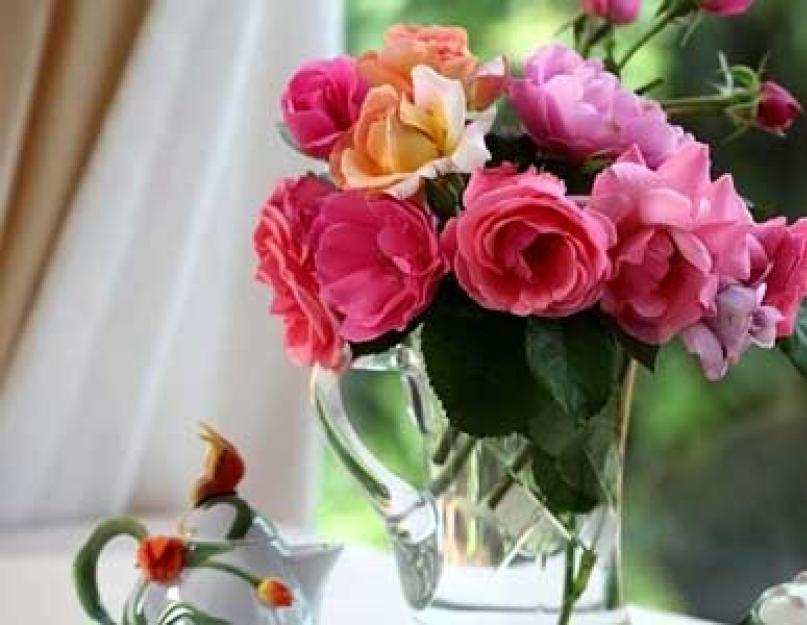 Как сохранить купленные розы в вазе. Сохранение и оживление срезанных цветов дома – как сохранить розы в вазе дольше всего