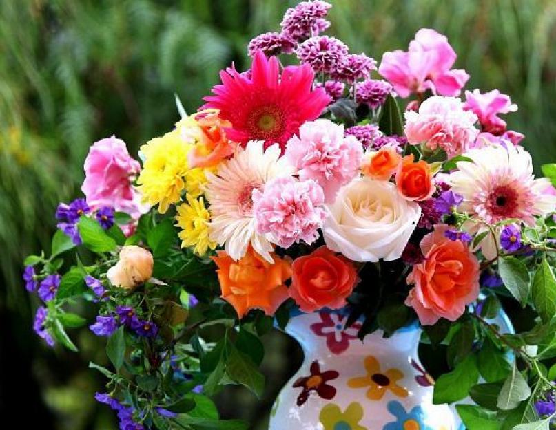 Что означают цветы на языке цветов. Цветочный этикет − учимся выбирать цветы в подарок