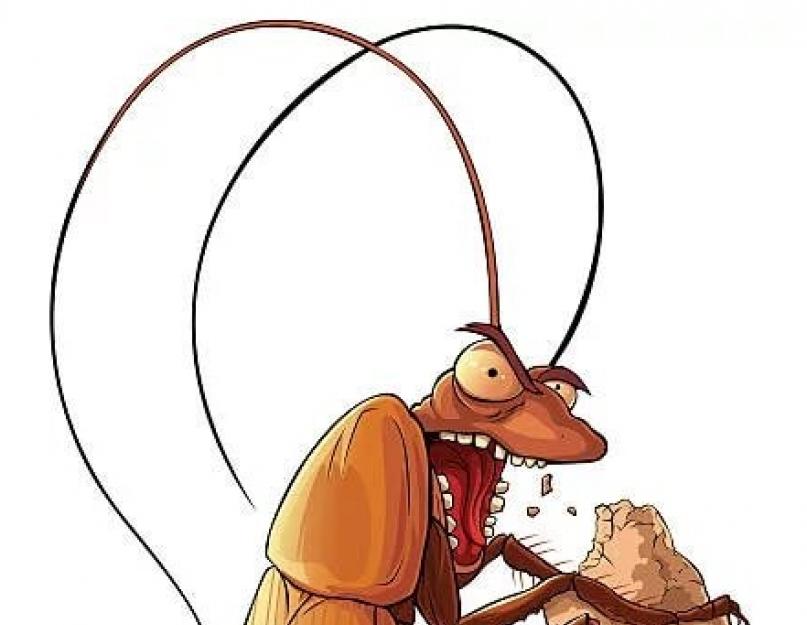 Могут ли тараканы заползти в. Что делать, если таракан заполз в ухо
