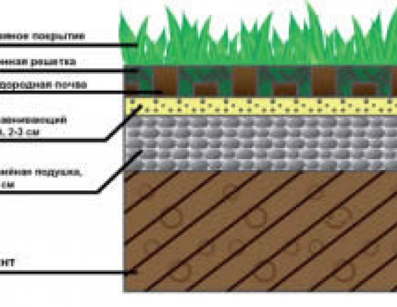 Газонная трава: как сажать ее своими руками, когда ее можно сеять. Как производится посев газонной травы осенью, в зиму