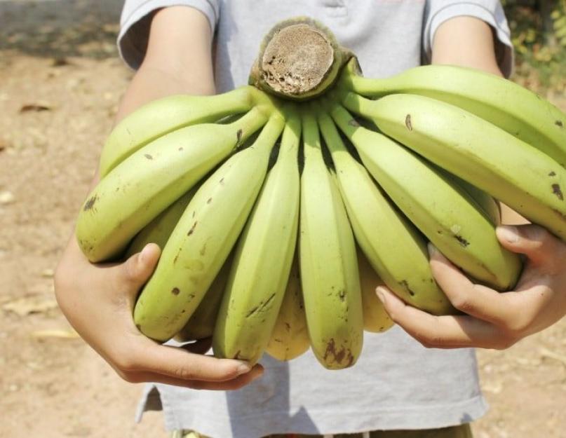 Как хранить бананы дома, чтобы они не чернели: маленькие хитрости и рекомендации. Сроки и условия хранения бананов