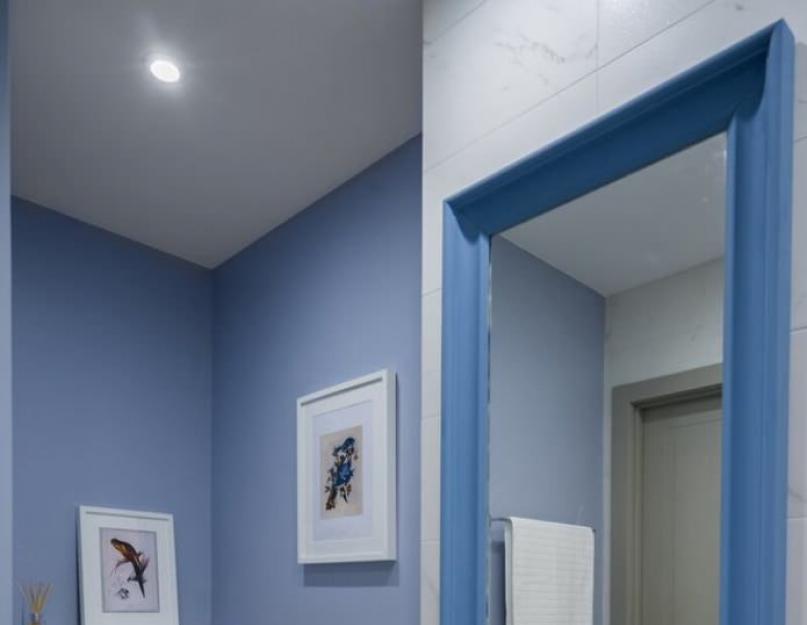 Креативный туалет. Туалет в квартире: дизайн интерьера и современные требования к оформлению (105 фото)