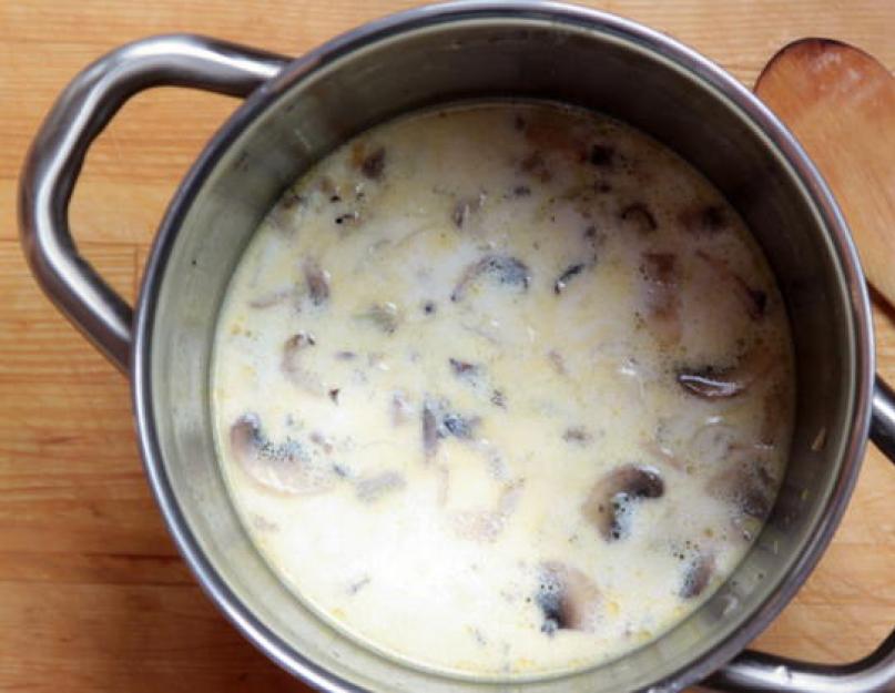 Грибной суп из шампиньонов – легко и просто! Рецепты грибного супа из шампиньонов с курицей, гречневой крупой, вермишелью и сыром. Грибной суп из шампиньонов - рецепт
