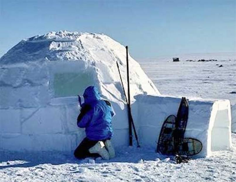 Дома чукчей из льда. Как построить ледяное эскимосское жилье иглу с куполообразной крышей из снежных блоков