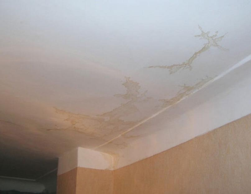 Как удалить пятна на стене от воды. Как убрать пятна и подтеки на потолке