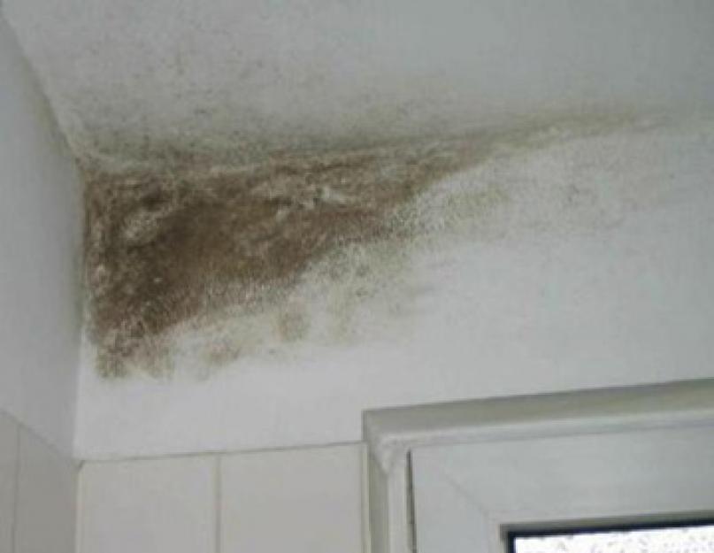 Влажные стены в кирпичном или панельном доме: причины и последствия. Почему сыреют углы в доме? Почему сыреют стены в частном доме снизу
