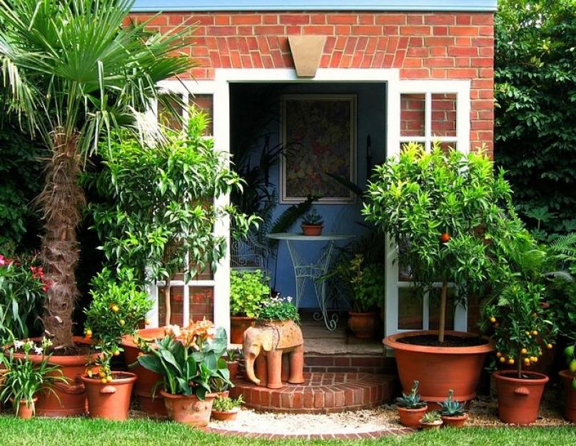 Красивое оформление входа в загородный дом. Как сделать красивый вход в дом на загородном участке? Сделайте правильные дорожки