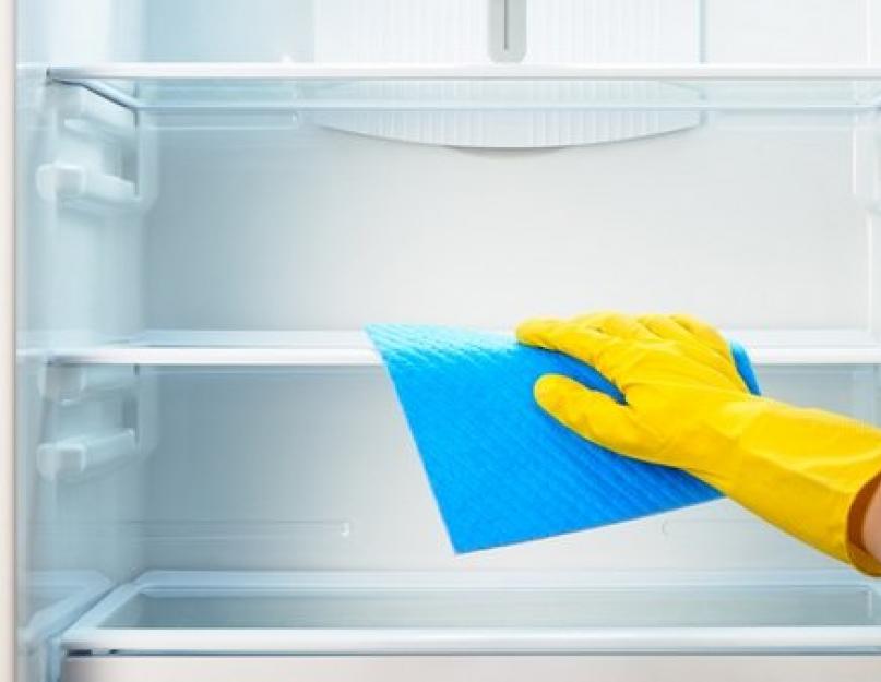 Чем вывести неприятный запах из холодильника. Как убрать запах из холодильника: самые эффективные методы