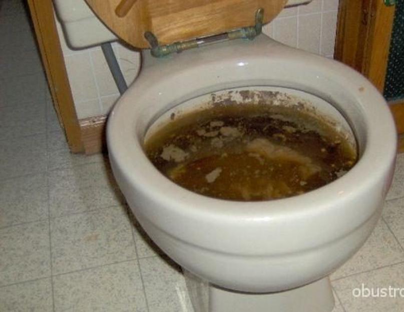 Почистить канализацию в квартире. Чем и как прочистить канализационные трубы в домашних условиях