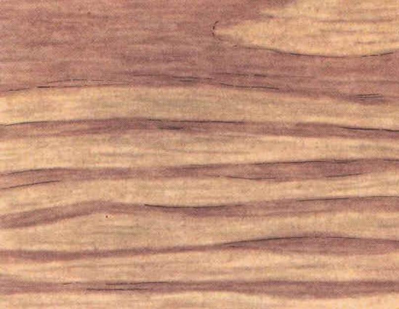 Классификация дефектов древесины. Качество пиломатериалов дефекты и пороки древесины Пороки древесины березы