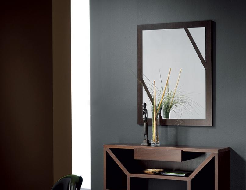 Цвет венге в квартире: советы и предложения. Мебель венге в интерьере (20 фото): светлый и темный дизайн