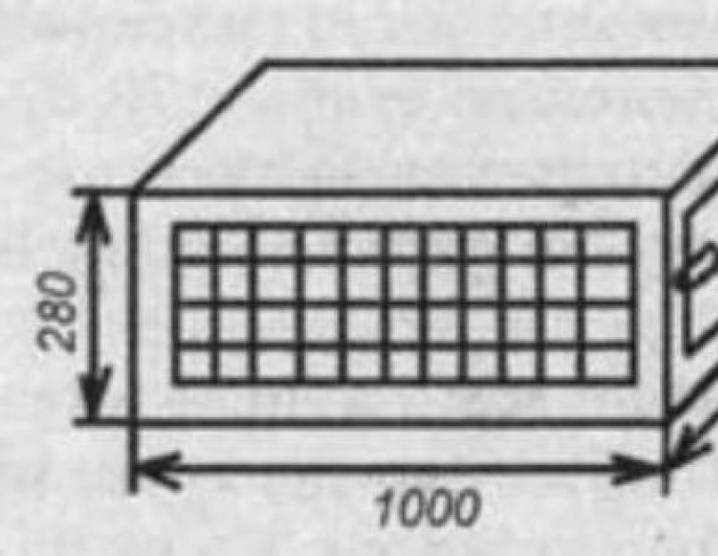 Брудер для цыплят своими руками чертежи и размеры с ящиком