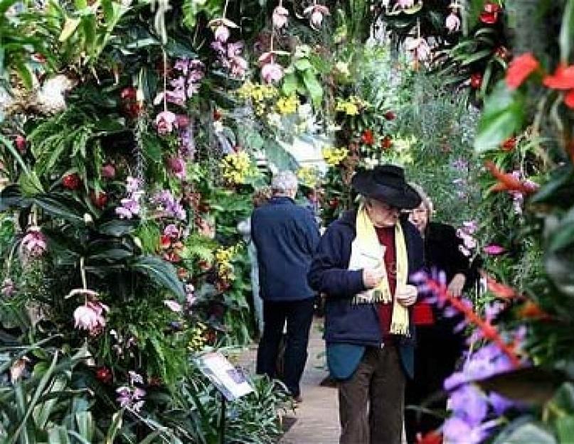Королевские сады великобритании. Сады Кью (Kew Gardens) - мировая сокровищница живых растений