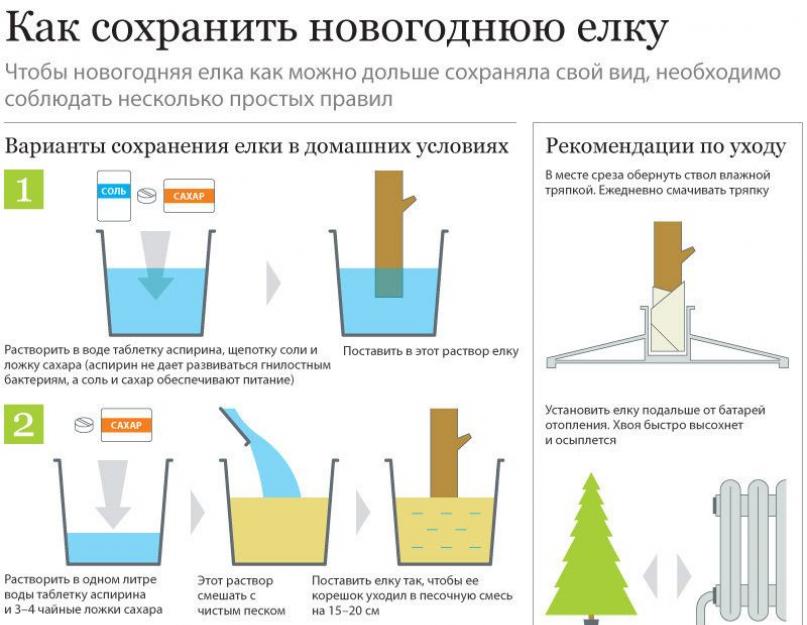 Чтобы елка стояла дольше добавить в воду. Чтобы елка долго стояла. Что сделать чтобы ёлка дольше стояла. Раствор для елки чтобы долго стояла. Что добавить в воду чтобы елка дольше стояла.