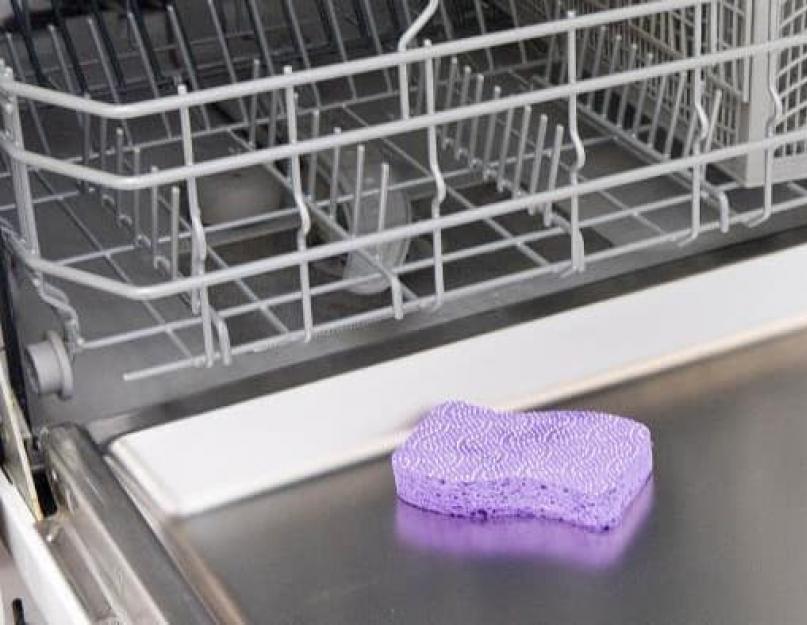 Как помыть посудомойку в домашних условиях. Как почистить посудомойку лимонной кислотой