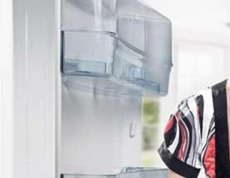 Как очистить холодильник от запаха испорченных продуктов. Как убрать запах из холодильника? Причины появления посторонних запахов