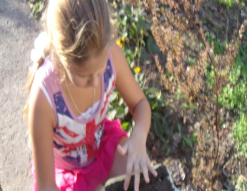 Исследования школьников по изучению сортов огурцов. Исследовательская работа «выращивание огурцов на подоконнике