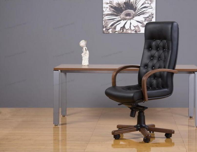 Топ компьютерных кресел. Правила выбора офисного кресла: удобное рабочее место дома и в офисе