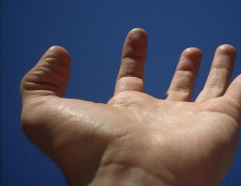 О чем говорит маленькая рука мужчин. А девушки то эстеты мужских рук! или Длинные пальцы мужчин! Влияние длины пальцев на характер и здоровье