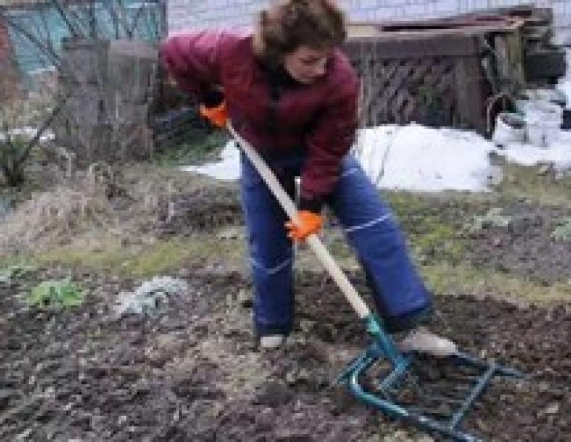 Лопата: это незаменимый инструмент для копания земли. Чудо-лопаты Рыхлитель почвы без переднего упора
