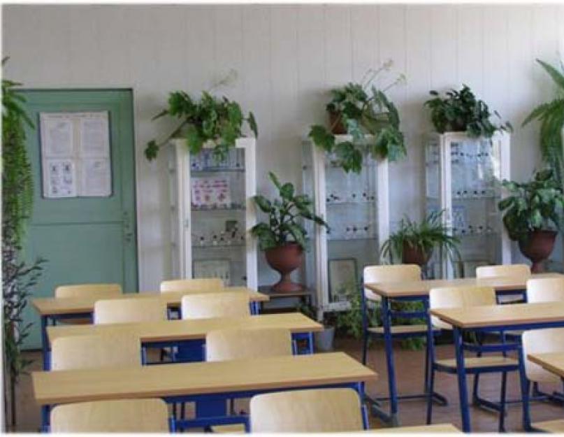 Запрещенные растения школе по санпин. Комнатные растения в интерьере школы