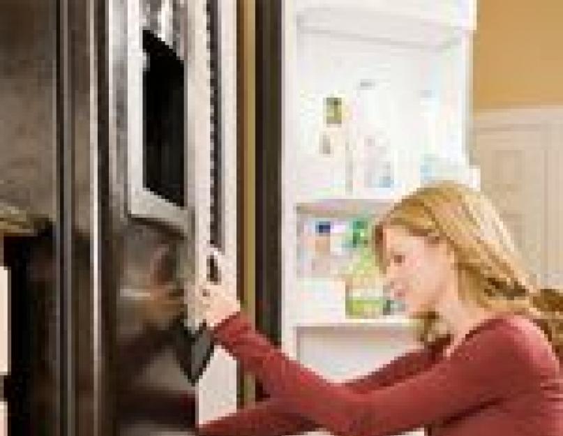 Чем помыть холодильник снаружи народные средства. Как избавиться от неприятного запаха из холодильника: чем помыть холодильник внутри, чтобы уничтожить бактерии и плесень и убрать протухший запах